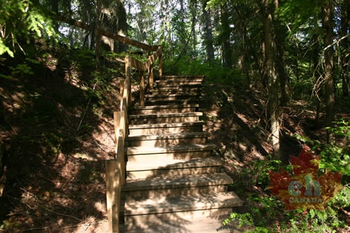 Monashee Lookout