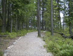 Trails in the Park.