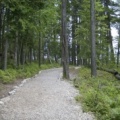 Trails in the Park.