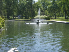 Fountain