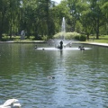 Fountain