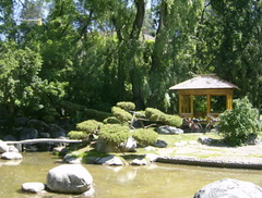 Viewing Shelter