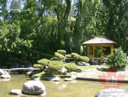Viewing Shelter