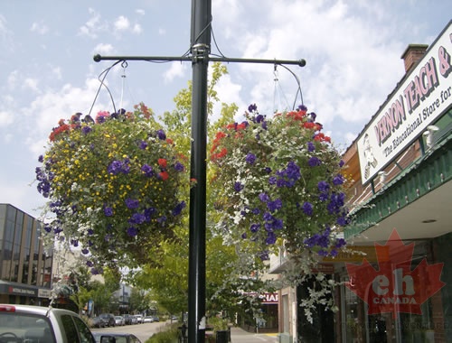 Flower Basket