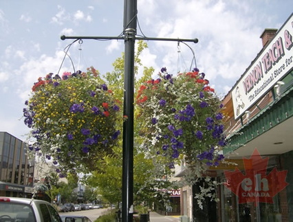 Flower Basket