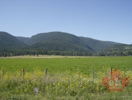Fields