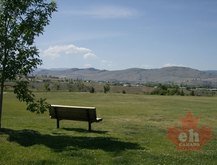 Viewing Bench