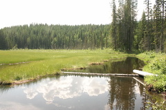 Wetlands