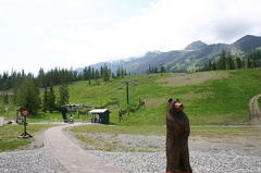 Pathway