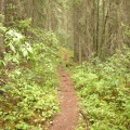 Hiking Trail