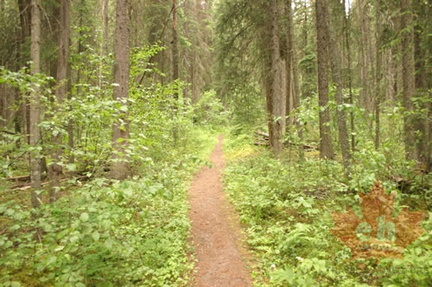 Hiking Trail