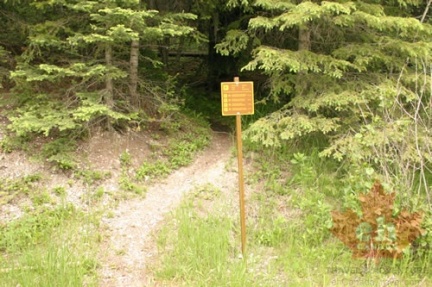 Trail Sign