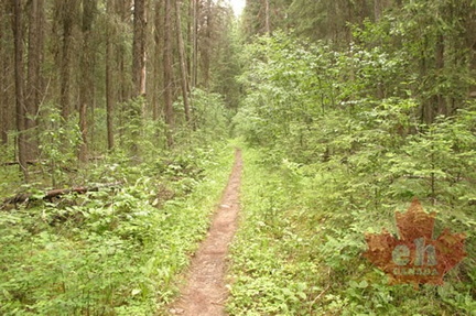 Hiking Trail
