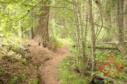 Hiking Trail