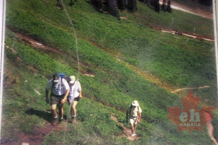 Hiking
