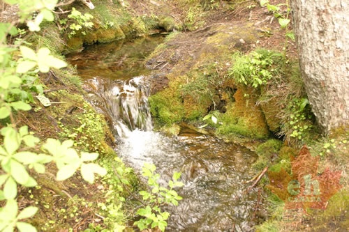 Rumbling Creek