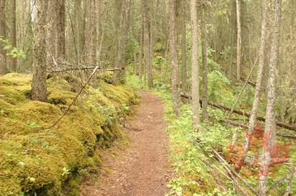 Hiking Trail