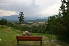 Viewing Bench