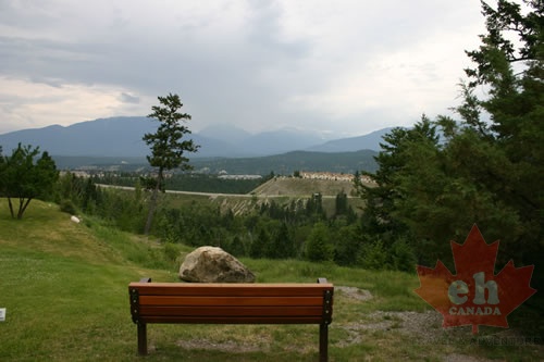 Viewing Bench