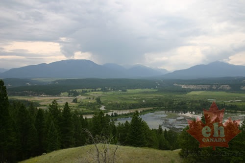 Viewpoint