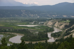 Marsh and Wetlands