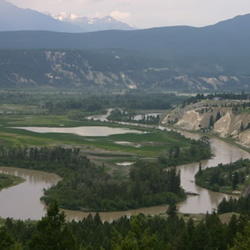 Wilmer Marsh Reserve