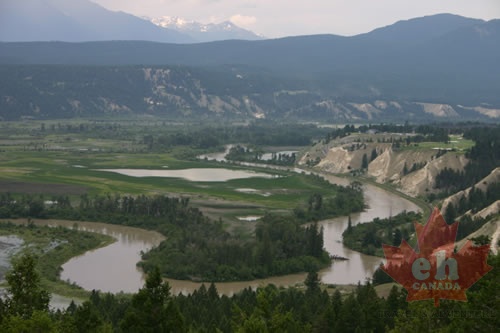 Marsh and Wetlands