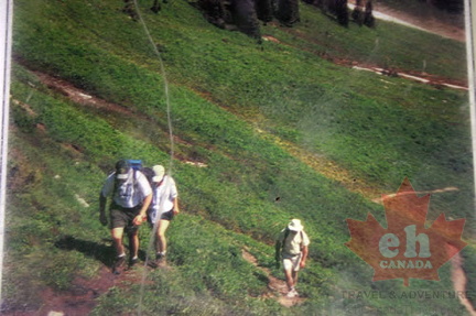 Hiking