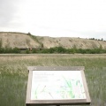Interpretive Signs