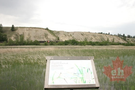 Interpretive Signs