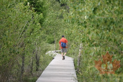 Hiker