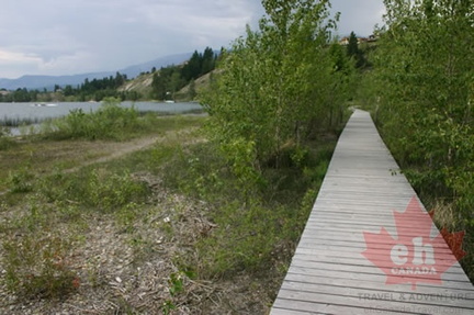 Trail