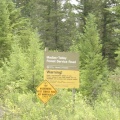Forest Service Road Sign