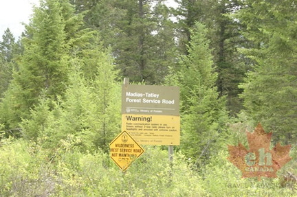 Forest Service Road Sign