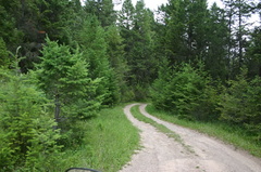 trail 002.jpg