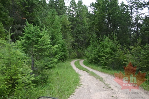 Forest Service Road