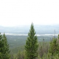 Views of Columbia River Wetlands