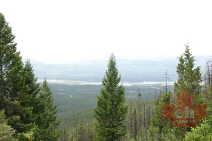 Views of Columbia River Wetlands