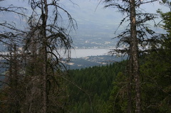 views 002.jpg