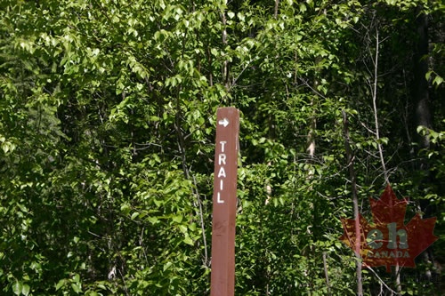 Directional Sign