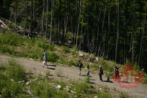 Hikers