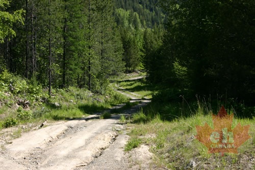 Spur Road Trail