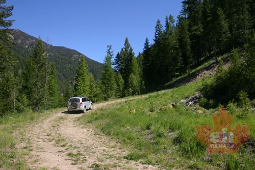 4X4ing