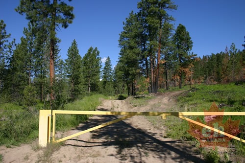 Yellow Gate