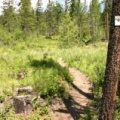 Hiking Trail