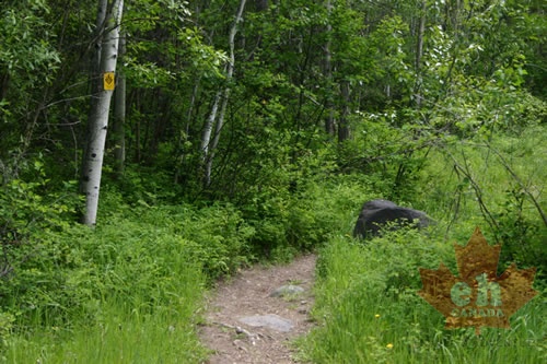 Hiking Trail