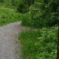 Trail Marker