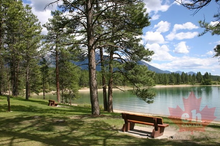 Viewing Benches