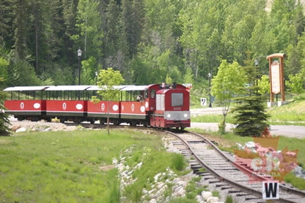Miniature Train