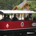 Riding the Train